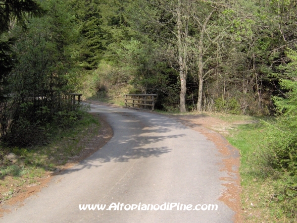 Strada Montesover - Malga Vernera [fotopercorsi/strada_montesovermalgavernera35.jpg]