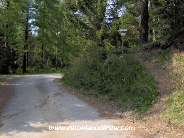 Strada Montesover - Malga Vernera [fotopercorsi/strada_montesovermalgavernera36.jpg]
