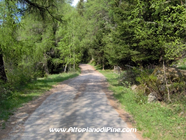 Strada Montesover - Malga Vernera [fotopercorsi/strada_montesovermalgavernera37.jpg]