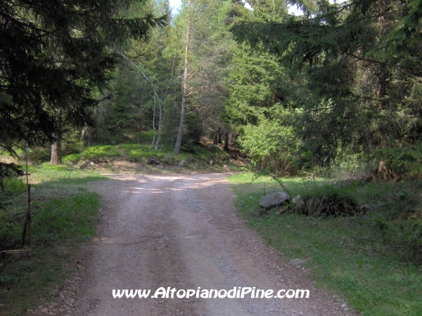 Strada Montesover - Malga Vernera [fotopercorsi/strada_montesovermalgavernera38.jpg]