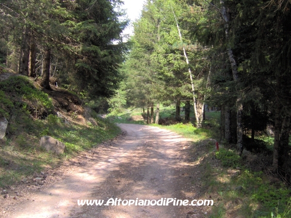 Strada Montesover - Malga Vernera [fotopercorsi/strada_montesovermalgavernera39.jpg]