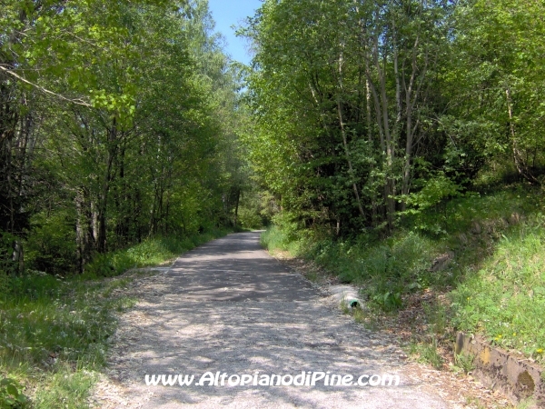 Strada Montesover - Malga Vernera [fotopercorsi/strada_montesovermalgavernera4.jpg]