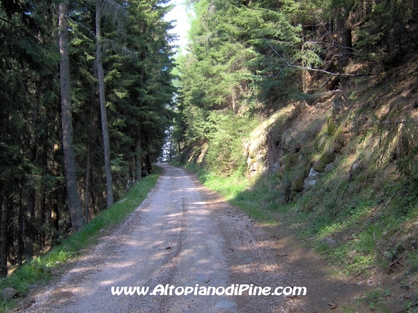 Strada Montesover - Malga Vernera [fotopercorsi/strada_montesovermalgavernera42.jpg]