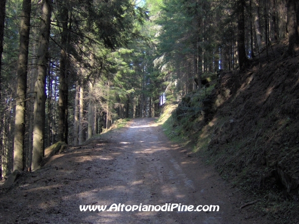 Strada Montesover - Malga Vernera [fotopercorsi/strada_montesovermalgavernera44.jpg]