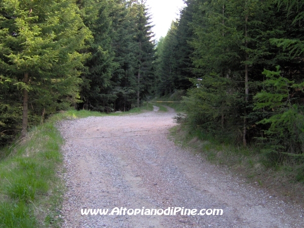 Strada Montesover - Malga Vernera [fotopercorsi/strada_montesovermalgavernera47.jpg]