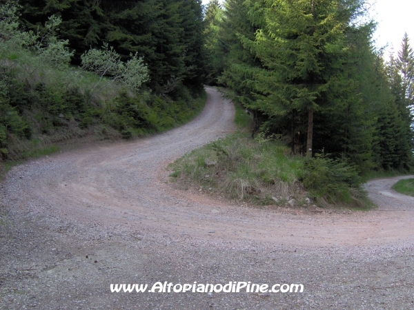 Strada Montesover - Malga Vernera [fotopercorsi/strada_montesovermalgavernera48.jpg]