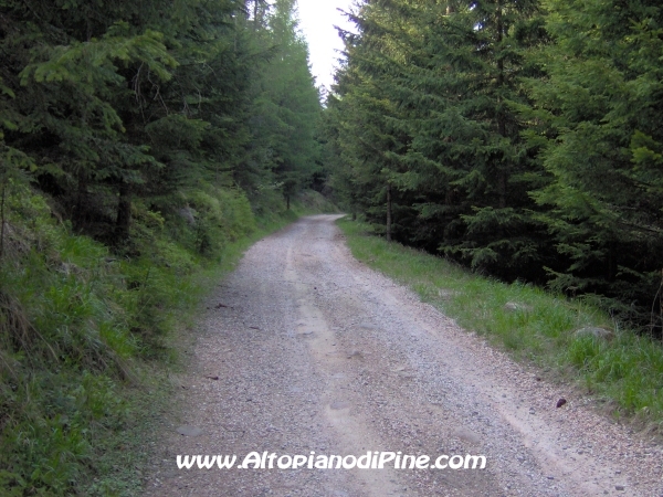 Strada Montesover - Malga Vernera [fotopercorsi/strada_montesovermalgavernera49.jpg]