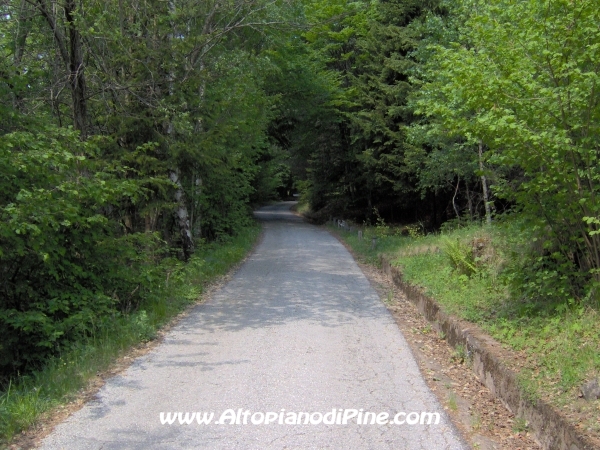 Strada Montesover - Malga Vernera [fotopercorsi/strada_montesovermalgavernera5.jpg]