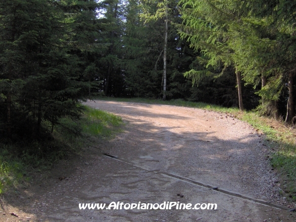 Strada Montesover - Malga Vernera [fotopercorsi/strada_montesovermalgavernera50.jpg]