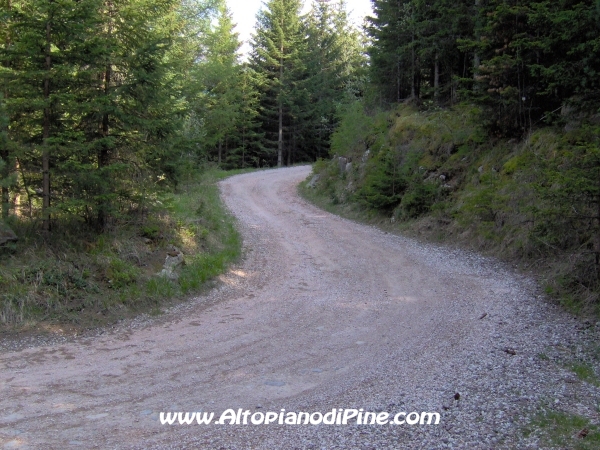 Strada Montesover - Malga Vernera [fotopercorsi/strada_montesovermalgavernera51.jpg]