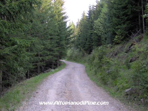 Strada Montesover - Malga Vernera [fotopercorsi/strada_montesovermalgavernera52.jpg]