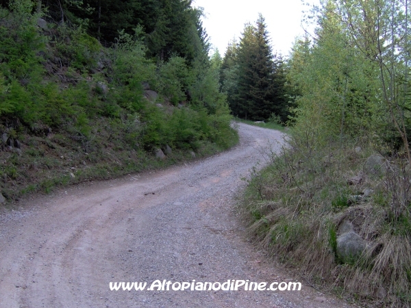 Strada Montesover - Malga Vernera [fotopercorsi/strada_montesovermalgavernera54.jpg]