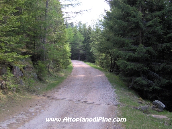 Strada Montesover - Malga Vernera [fotopercorsi/strada_montesovermalgavernera57.jpg]