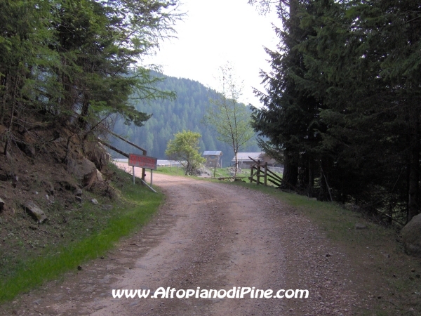 Strada Montesover - Malga Vernera [fotopercorsi/strada_montesovermalgavernera59.jpg]