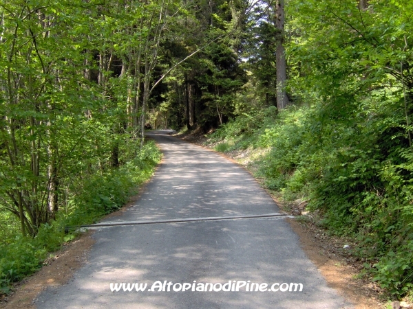 Strada Montesover - Malga Vernera [fotopercorsi/strada_montesovermalgavernera7.jpg]