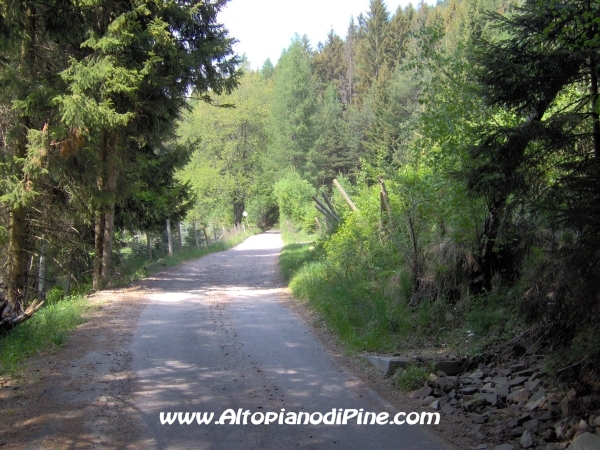 Strada Montesover - Malga Vernera [fotopercorsi/strada_montesovermalgavernera8.jpg]