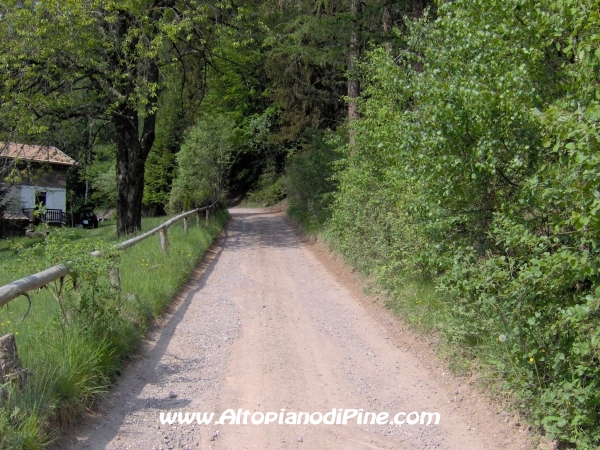 Strada Montesover - Malga Vernera [fotopercorsi/strada_montesovermalgavernera9.jpg]