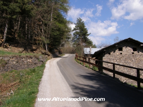 Strada Rizzolaga - Rifugio S.Antonio [fotopercorsi/strada_rizzolaga-bosco1.jpg]