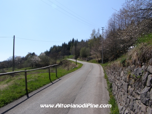 Strada di Rizzolaga [fotopercorsi/strada_rizzolaga12.jpg]