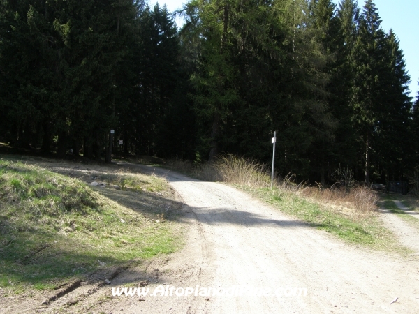 Strada S.Antonio - Bedolpian [fotopercorsi/strada_santonio-bedolpian1.jpg]