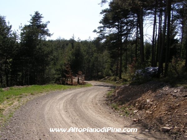 Strada S.Antonio - Bedolpian [fotopercorsi/strada_santonio-bedolpian10.jpg]