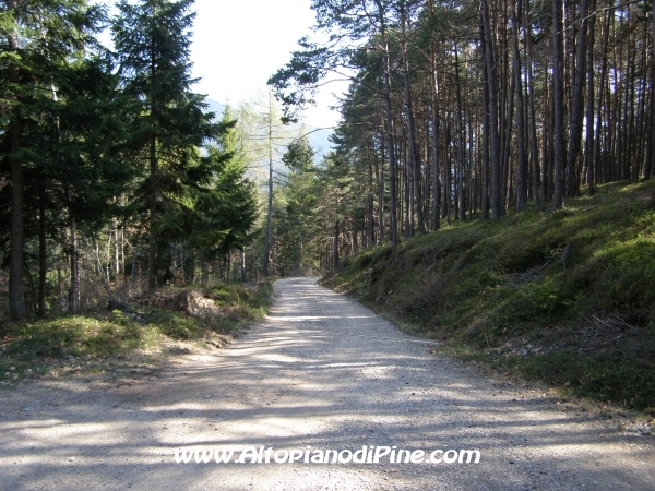 Strada S.Antonio - Bedolpian [fotopercorsi/strada_santonio-bedolpian12.jpg]