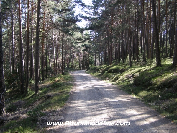 Strada S.Antonio - Bedolpian [fotopercorsi/strada_santonio-bedolpian13.jpg]