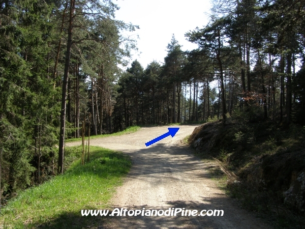 Strada S.Antonio - Bedolpian [fotopercorsi/strada_santonio-bedolpian15.jpg]