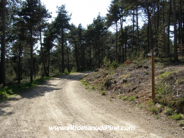 Strada S.Antonio - Bedolpian [fotopercorsi/strada_santonio-bedolpian16.jpg]
