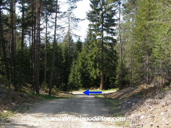 Strada S.Antonio - Bedolpian [fotopercorsi/strada_santonio-bedolpian17.jpg]