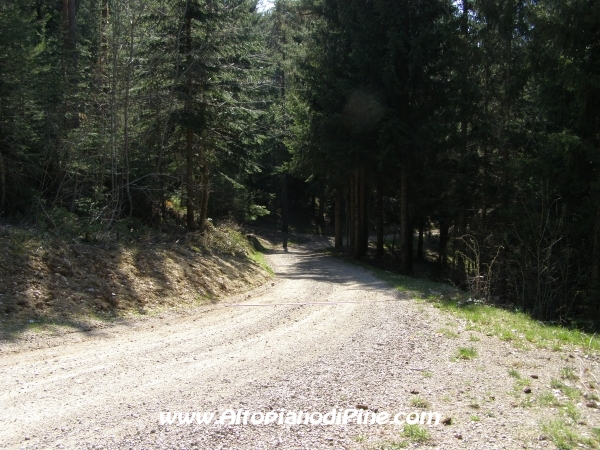 Strada S.Antonio - Bedolpian [fotopercorsi/strada_santonio-bedolpian18.jpg]