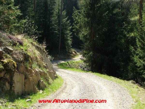 Strada S.Antonio - Bedolpian [fotopercorsi/strada_santonio-bedolpian19.jpg]