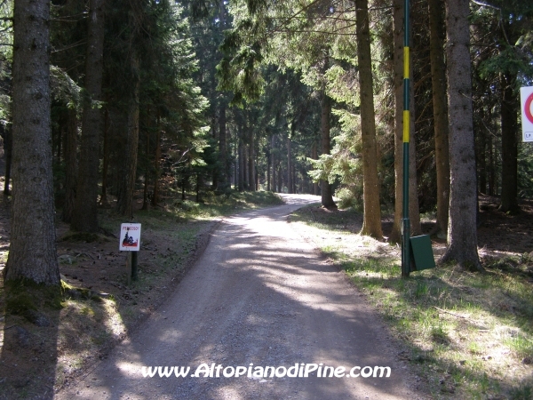 Strada S.Antonio - Bedolpian [fotopercorsi/strada_santonio-bedolpian2.jpg]