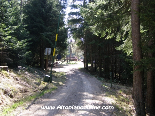 Strada S.Antonio - Bedolpian [fotopercorsi/strada_santonio-bedolpian20.jpg]