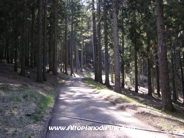 Strada S.Antonio - Bedolpian [fotopercorsi/strada_santonio-bedolpian3.jpg]