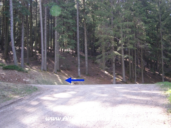 Strada S.Antonio - Bedolpian [fotopercorsi/strada_santonio-bedolpian4.jpg]