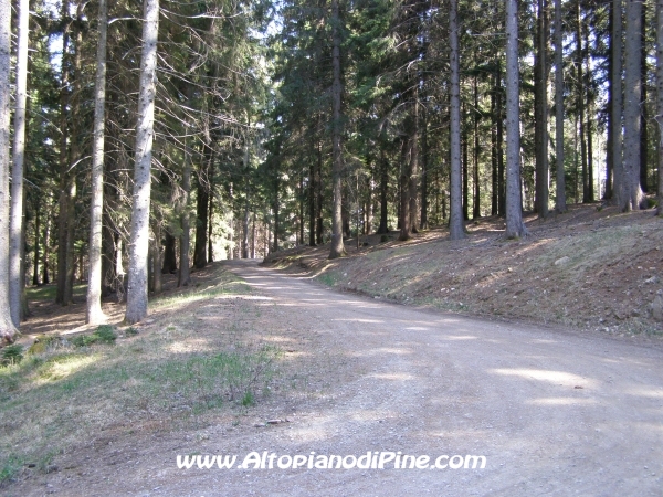 Strada S.Antonio - Bedolpian [fotopercorsi/strada_santonio-bedolpian5.jpg]