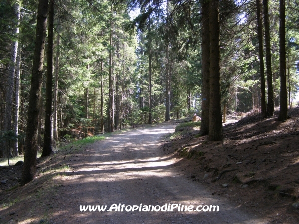 Strada S.Antonio - Bedolpian [fotopercorsi/strada_santonio-bedolpian6.jpg]