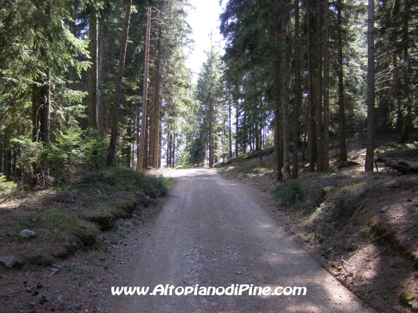 Strada S.Antonio - Bedolpian [fotopercorsi/strada_santonio-bedolpian7.jpg]