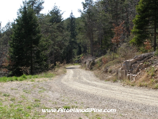 Strada S.Antonio - Bedolpian [fotopercorsi/strada_santonio-bedolpian8.jpg]