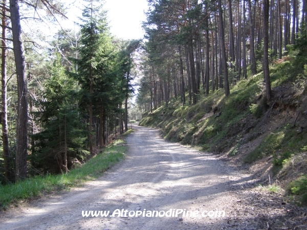 Strada S.Antonio - Bedolpian [fotopercorsi/strada_santonio-bedolpian9.jpg]