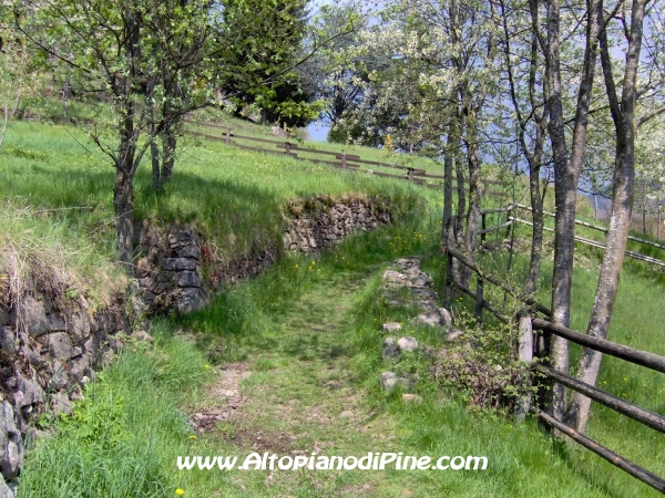 Strada di collegamento tra Sternigo e Rizzolaga [fotopercorsi/strada_sternigo-rizzolaga_11.jpg]