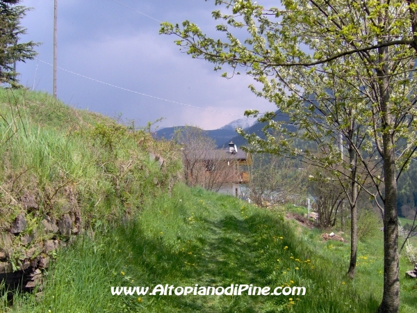 Strada di collegamento tra Sternigo e Rizzolaga [fotopercorsi/strada_sternigo-rizzolaga_12.jpg]