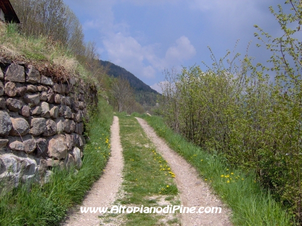 Strada di collegamento tra Sternigo e Rizzolaga [fotopercorsi/strada_sternigo-rizzolaga_13.jpg]
