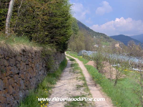 Strada di collegamento tra Sternigo e Rizzolaga [fotopercorsi/strada_sternigo-rizzolaga_14.jpg]