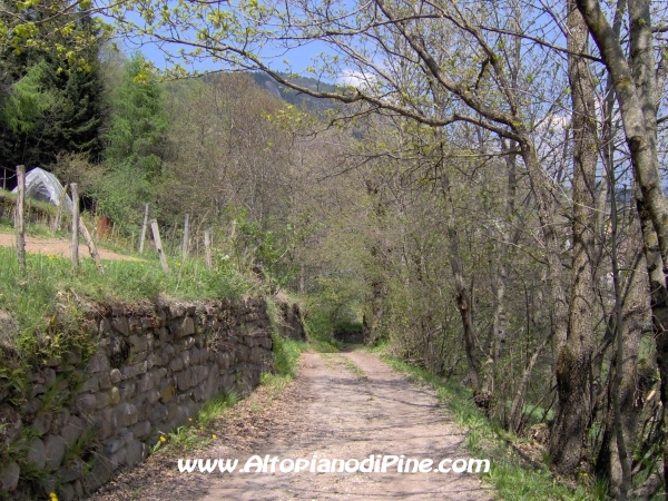 Strada di collegamento tra Sternigo e Rizzolaga [fotopercorsi/strada_sternigo-rizzolaga_16.jpg]