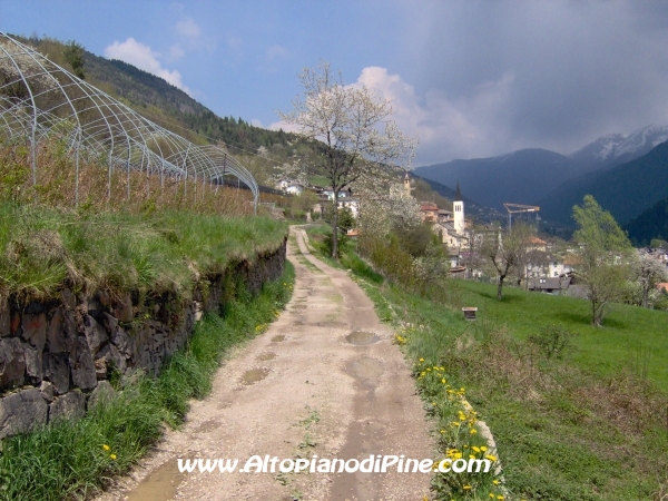 Strada di collegamento tra Sternigo e Rizzolaga [fotopercorsi/strada_sternigo-rizzolaga_17.jpg]