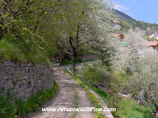 Strada di collegamento tra Sternigo e Rizzolaga [fotopercorsi/strada_sternigo-rizzolaga_18.jpg]