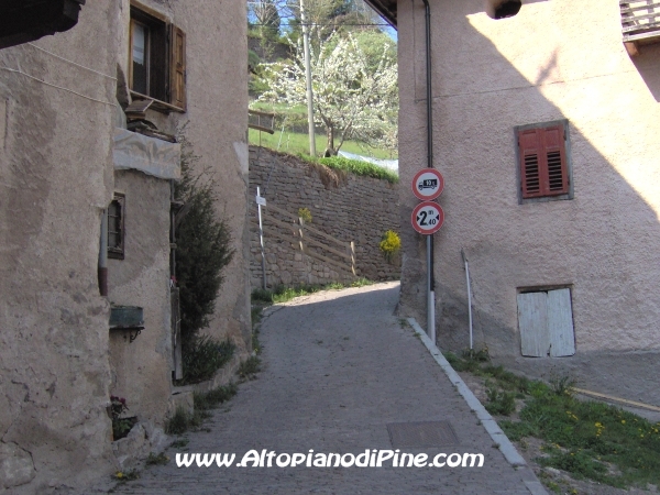 Strada di collegamento tra Sternigo e Rizzolaga [fotopercorsi/strada_sternigo-rizzolaga_3.jpg]