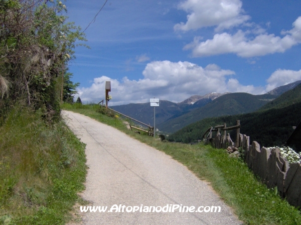 Strada di collegamento tra Sternigo e Rizzolaga [fotopercorsi/strada_sternigo-rizzolaga_6.jpg]